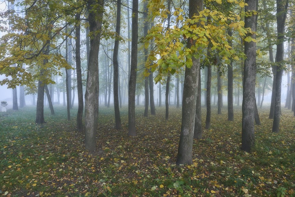 Фотография автора Сергей Овчинников