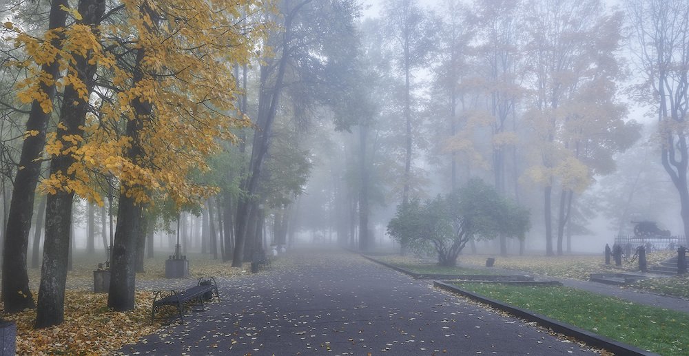 Фотография автора Сергей Овчинников