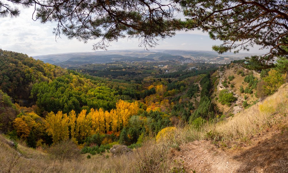 Photograph by Светлана Воробьева