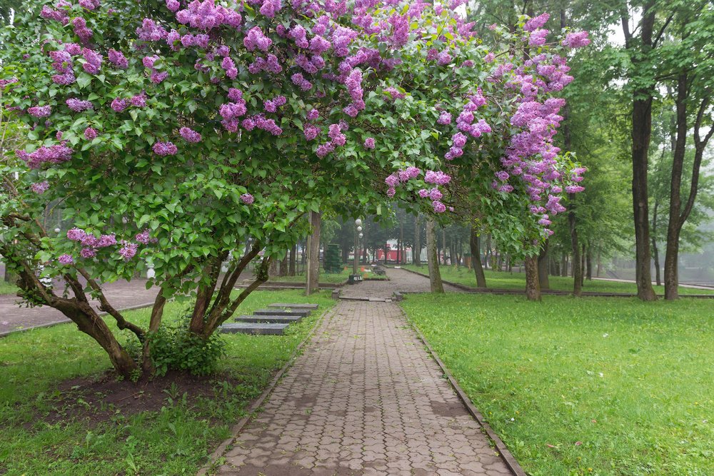 Фотография автора Сергей Овчинников