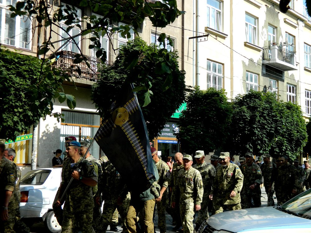 Украинские добровольцы