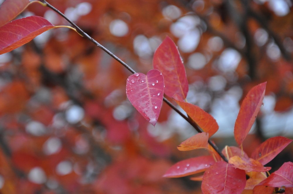 Photograph by Ольга Струкалина