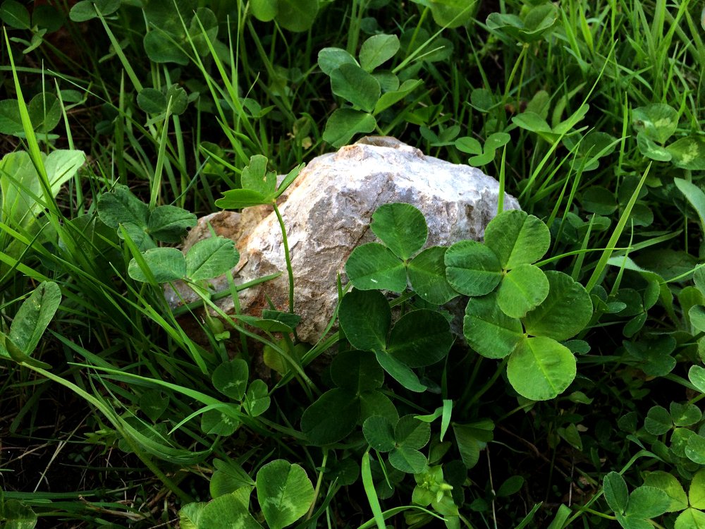 Photograph by Полина Синельникова