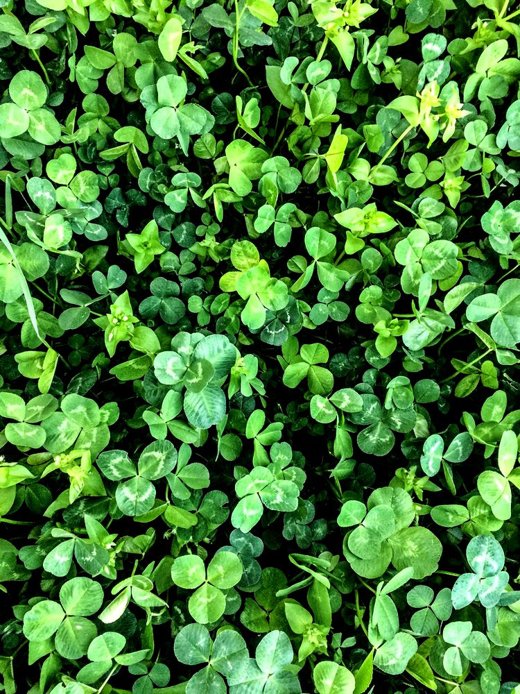 Photograph by Полина Синельникова