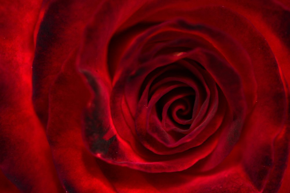 Photograph by Наталья Гайдукевич