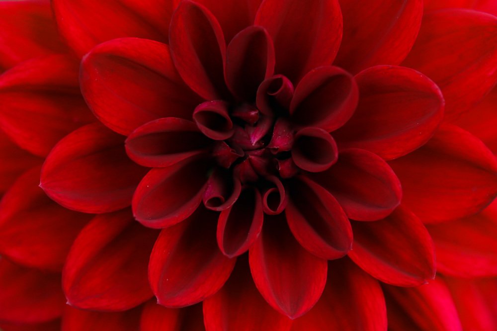 Photograph by Наталья Гайдукевич