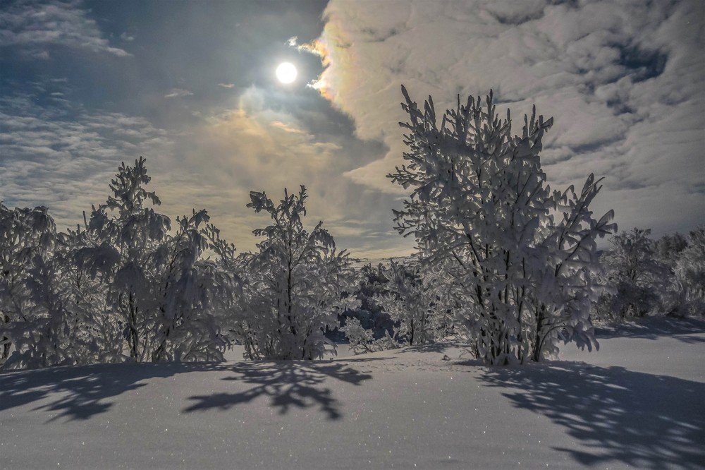 Полнолуние