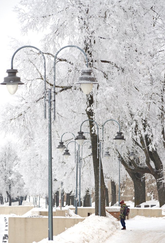 Фотография автора Майя Афзаал