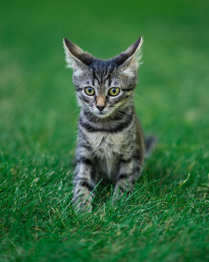 Photograph by Виктория Цейс