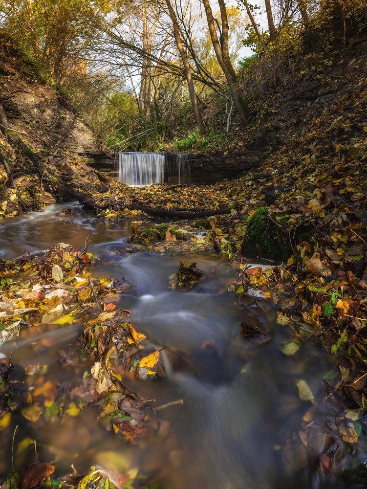 Фотография автора Майя Афзаал