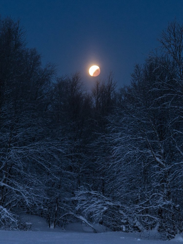 Затмение в Берендеевом царстве