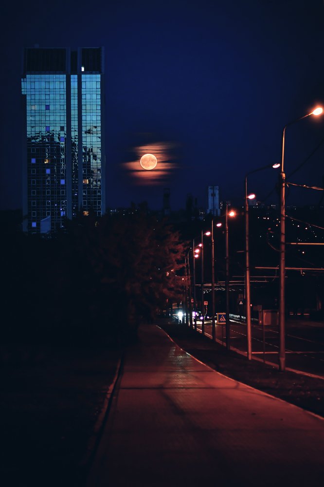 Photograph by Анастасия Донская