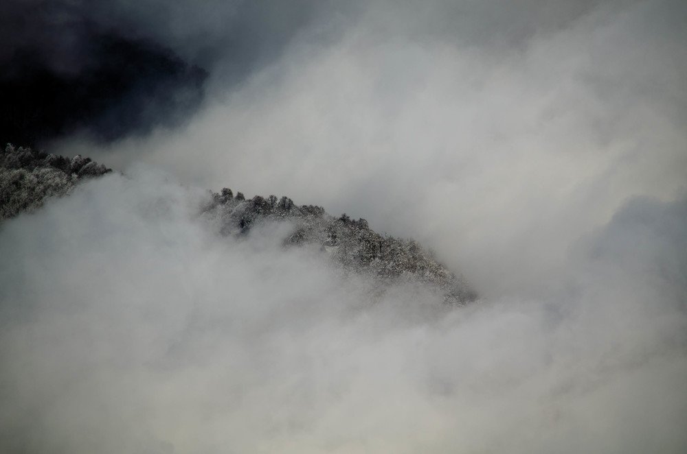 Photograph by Олег Смирнов