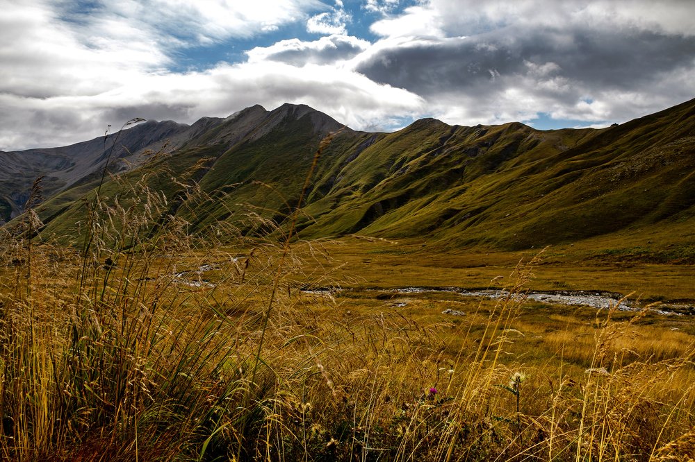 Photograph by Александр Пиленгас