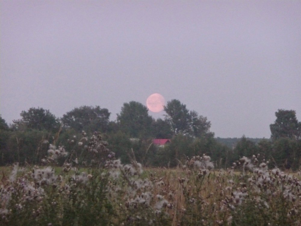 Photograph by Елена Грошева