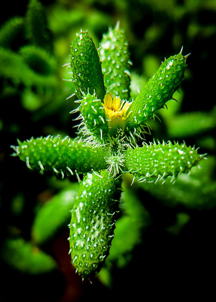 Photograph by Mohammad Dadsetan