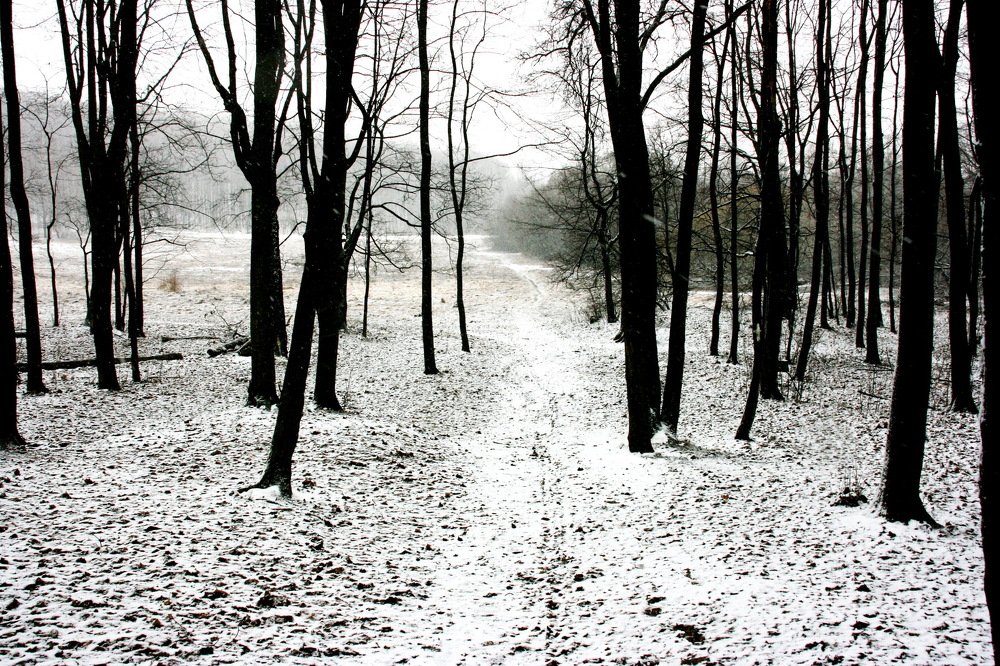 Photograph by Вадим Беляев