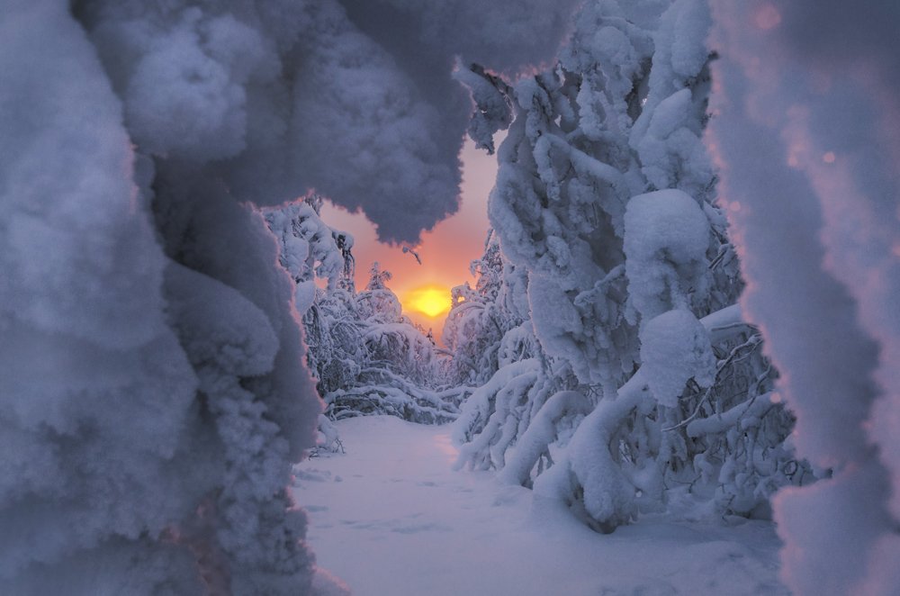 Photograph by Olga Akhmetova