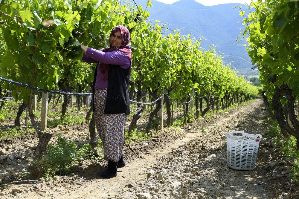 Photograph by Cem Yakal