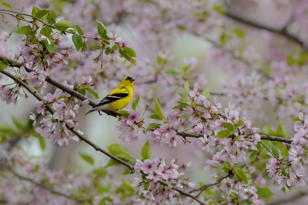 Photograph by Cindy Jones