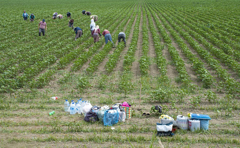 Photograph by Cem Yakal