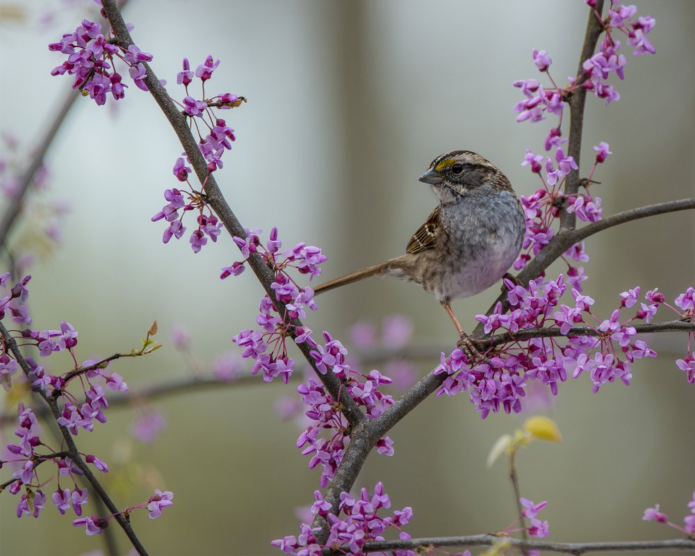 Photograph by Cindy Jones