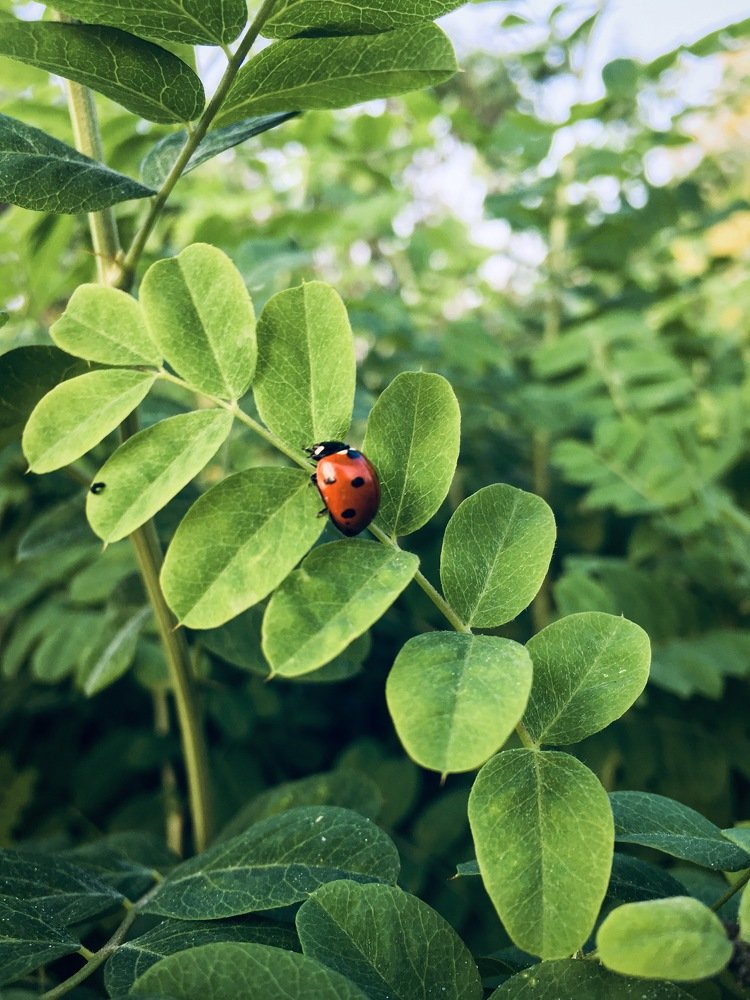 Photograph by Алексей Попов