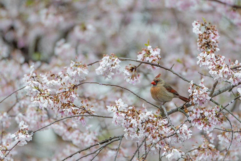 Photograph by Cindy Jones