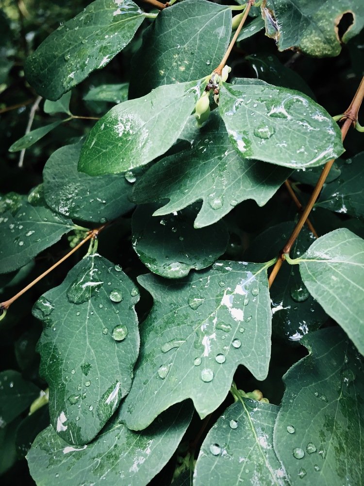 Photograph by Алексей Попов