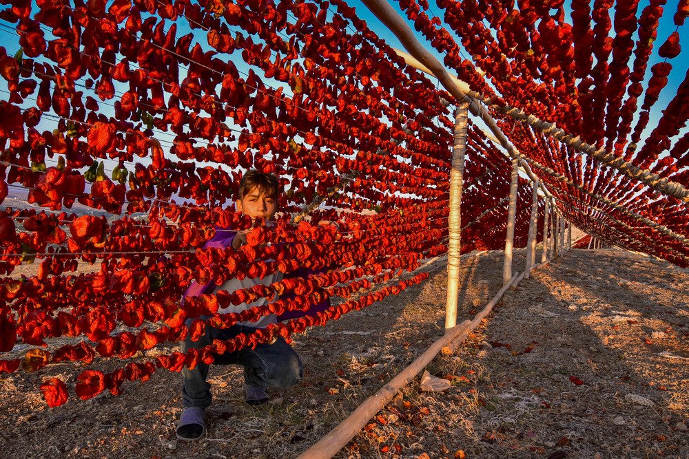 Photograph by Cem Yakal