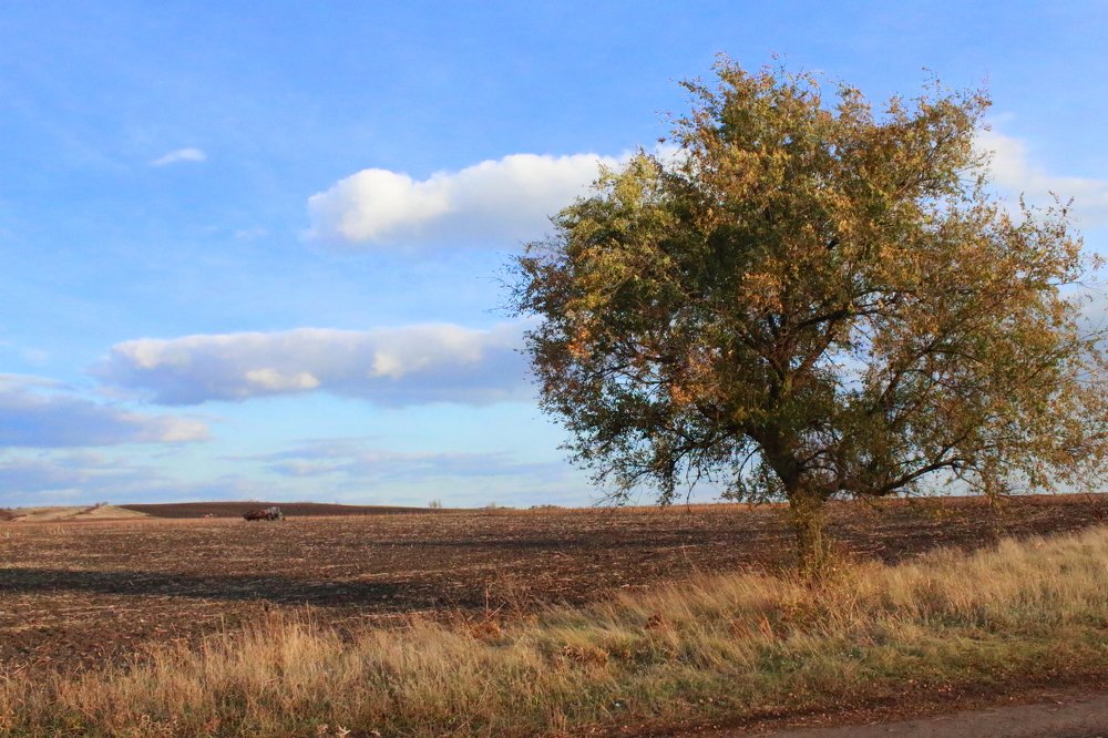 Photograph by Аленушка