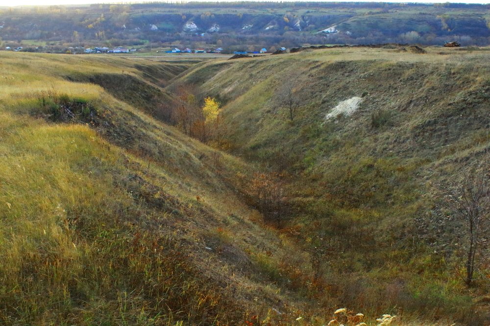Photograph by Аленушка