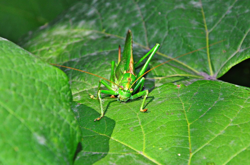 Photograph by Олег Радионов