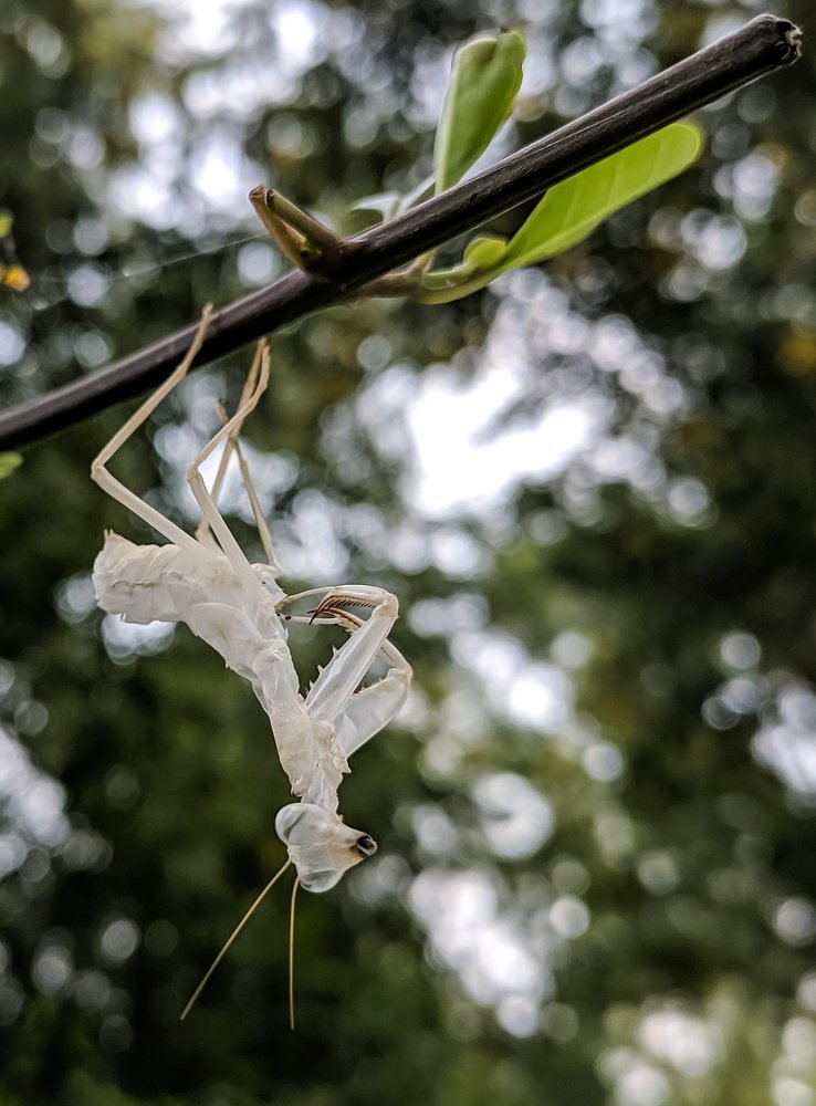 Photograph by Abhishek Manna