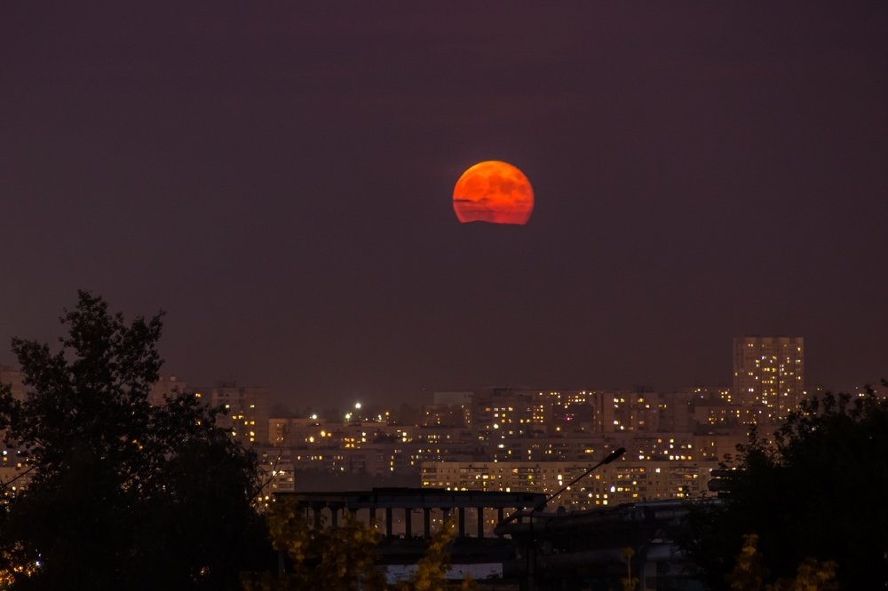 Photograph by Евгений Лобойко