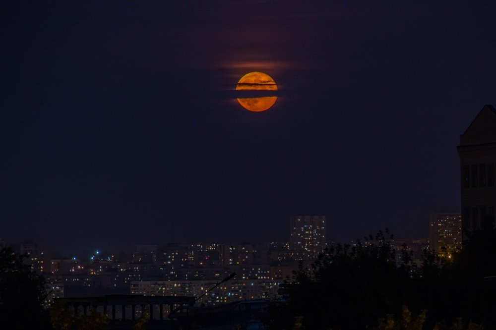 Photograph by Евгений Лобойко