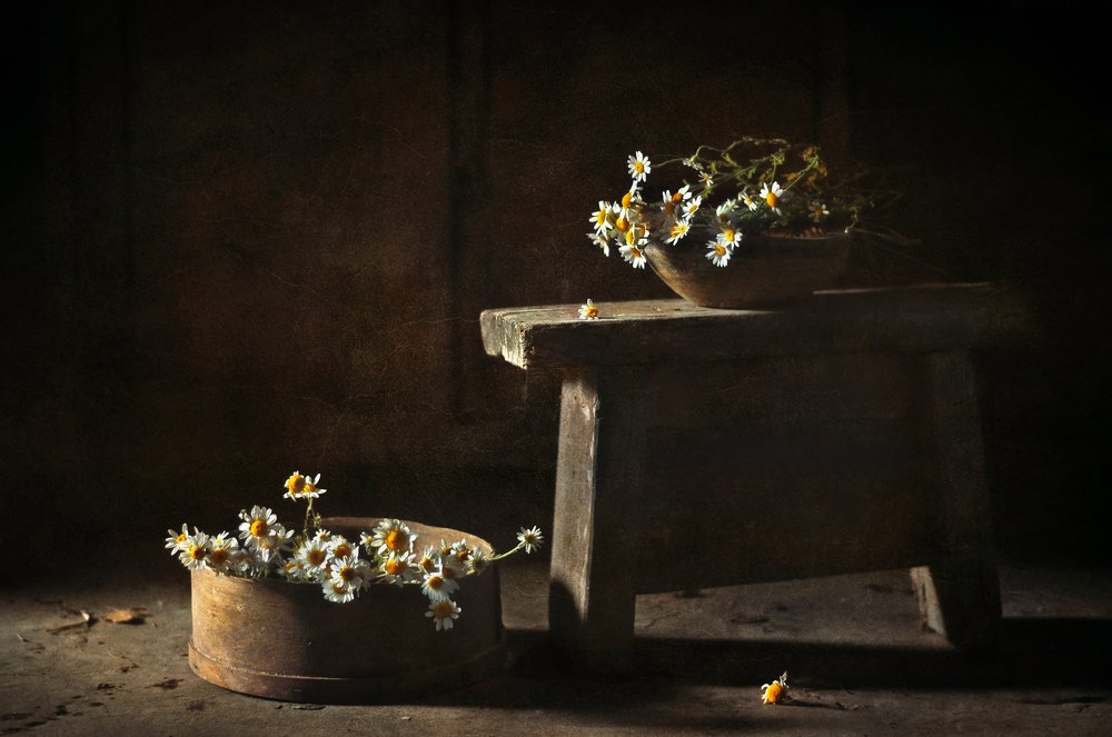 Photograph by Инна Буглак