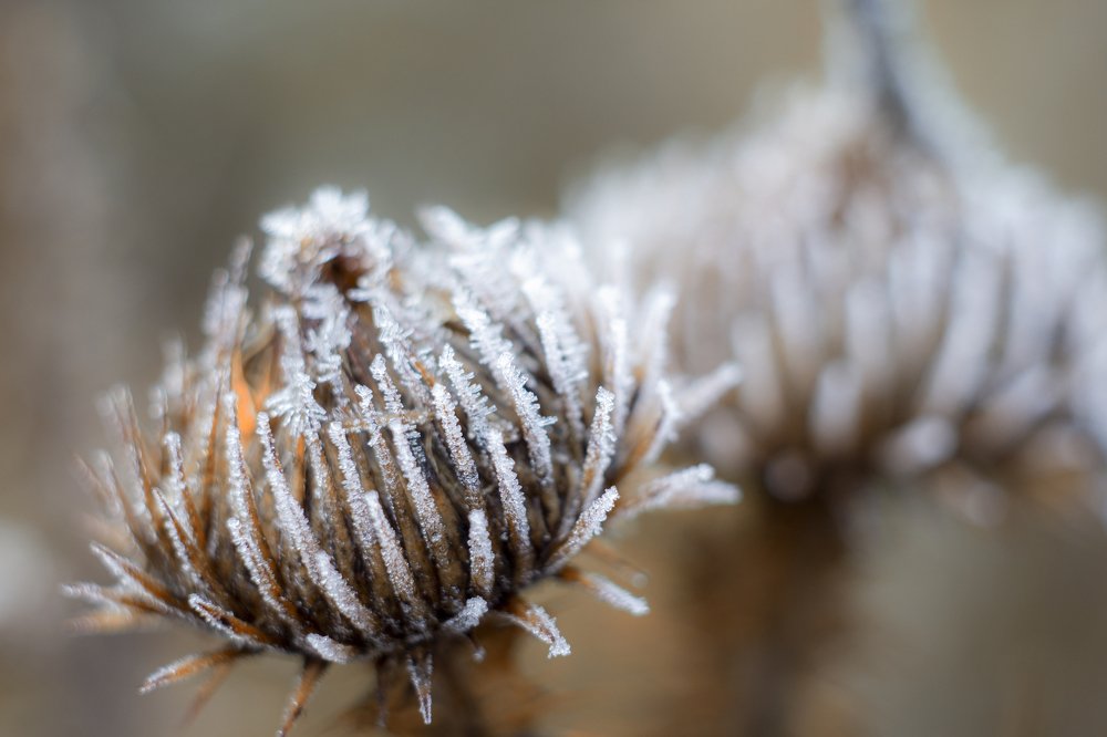 Photograph by Богдан Тарасов