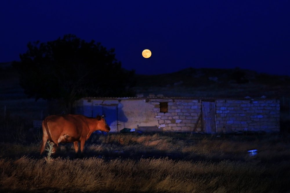Photograph by Склярова Анастасия