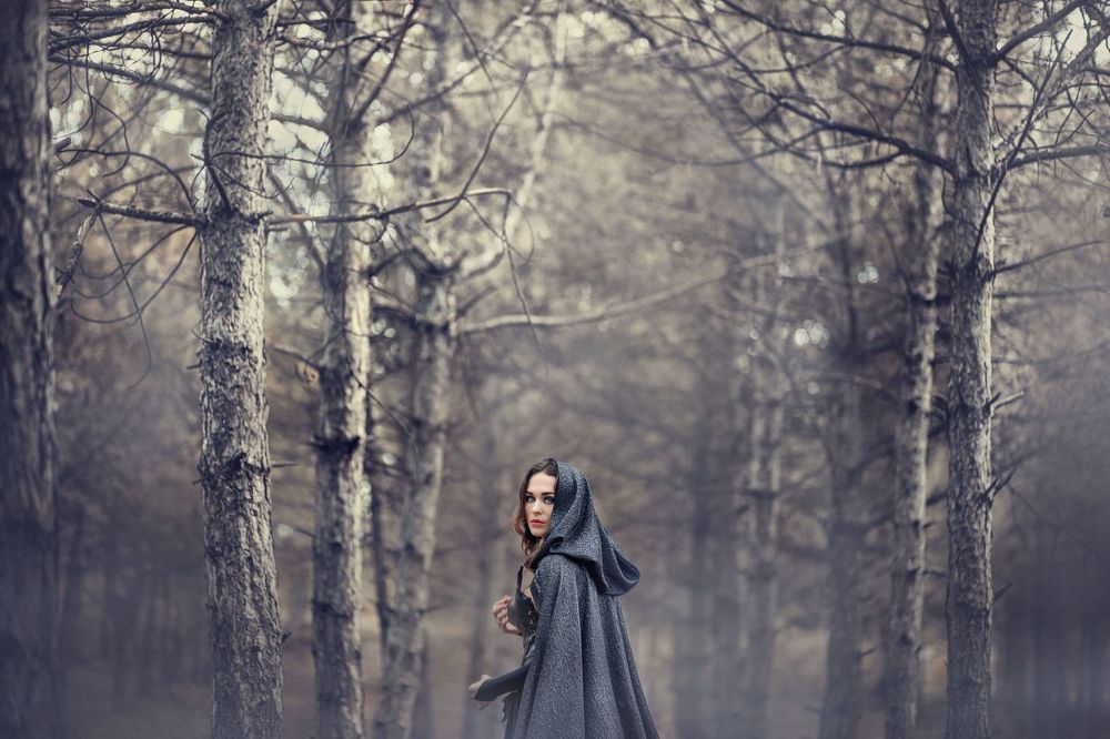 Фотография автора Анна Домбровская