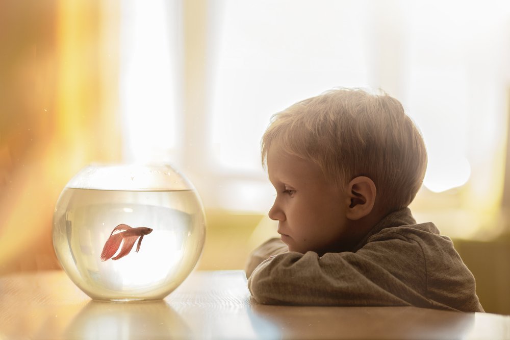 Photograph by Татьяна Шурнова