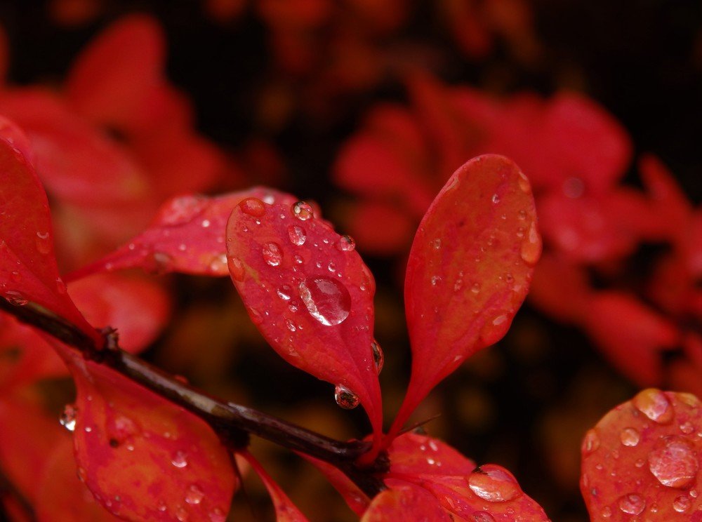 Фотография автора Tiia Vissak