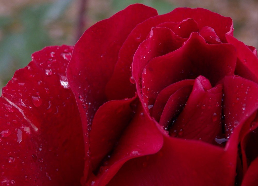 Фотография автора Tiia Vissak