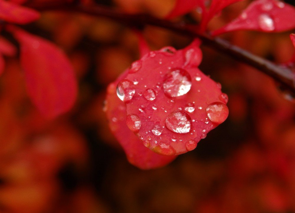 Фотография автора Tiia Vissak