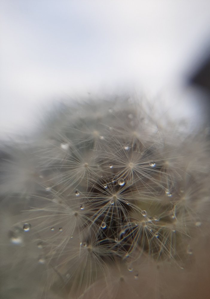 Photograph by Мария Глотова