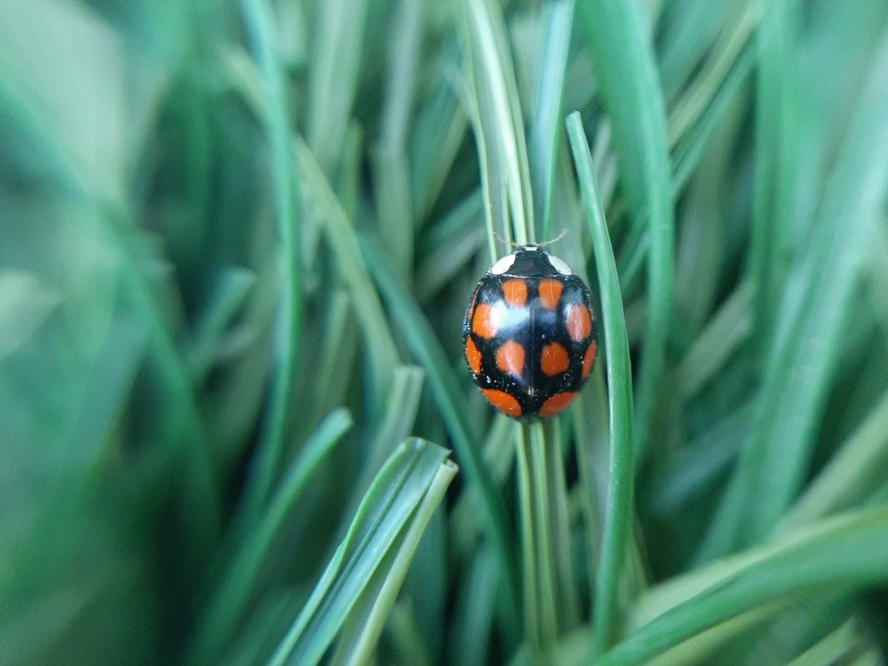 Photograph by Мария Глотова