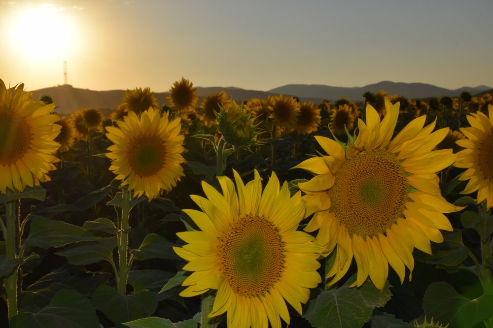 Photograph by Татьяна