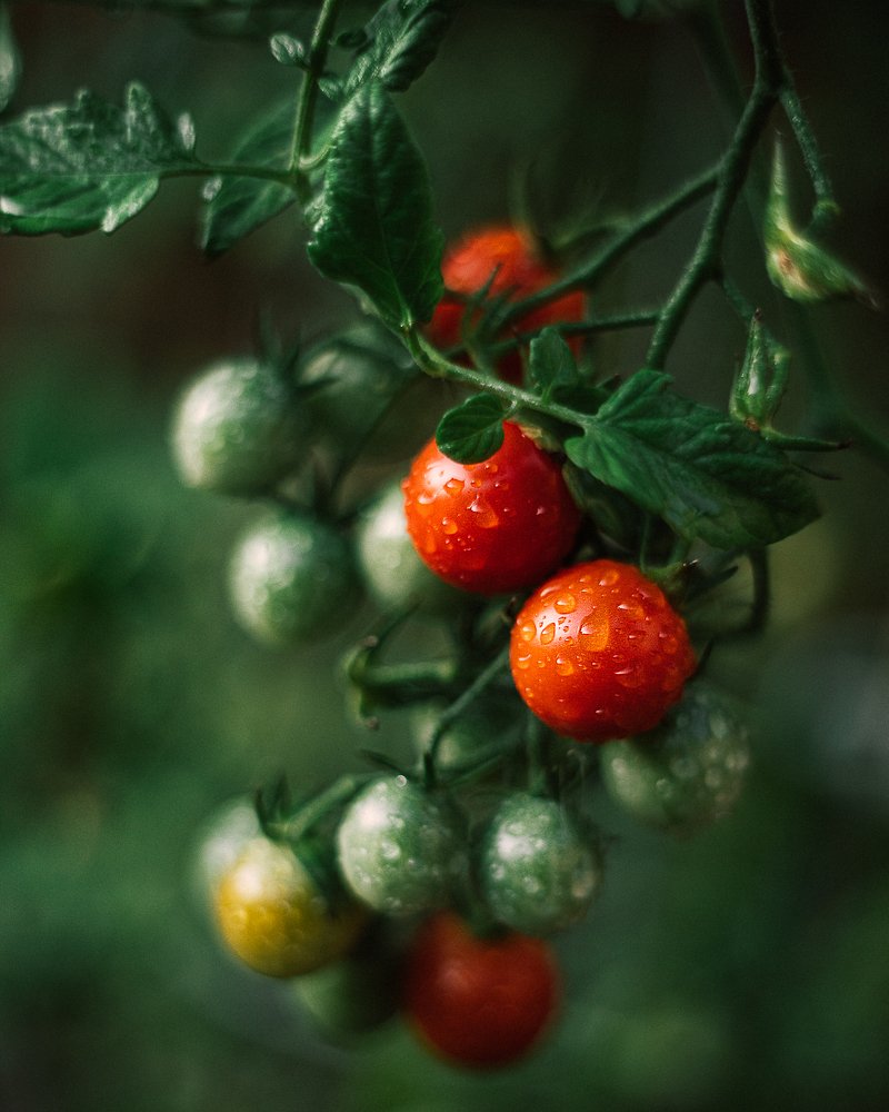 Photograph by Julia Bright