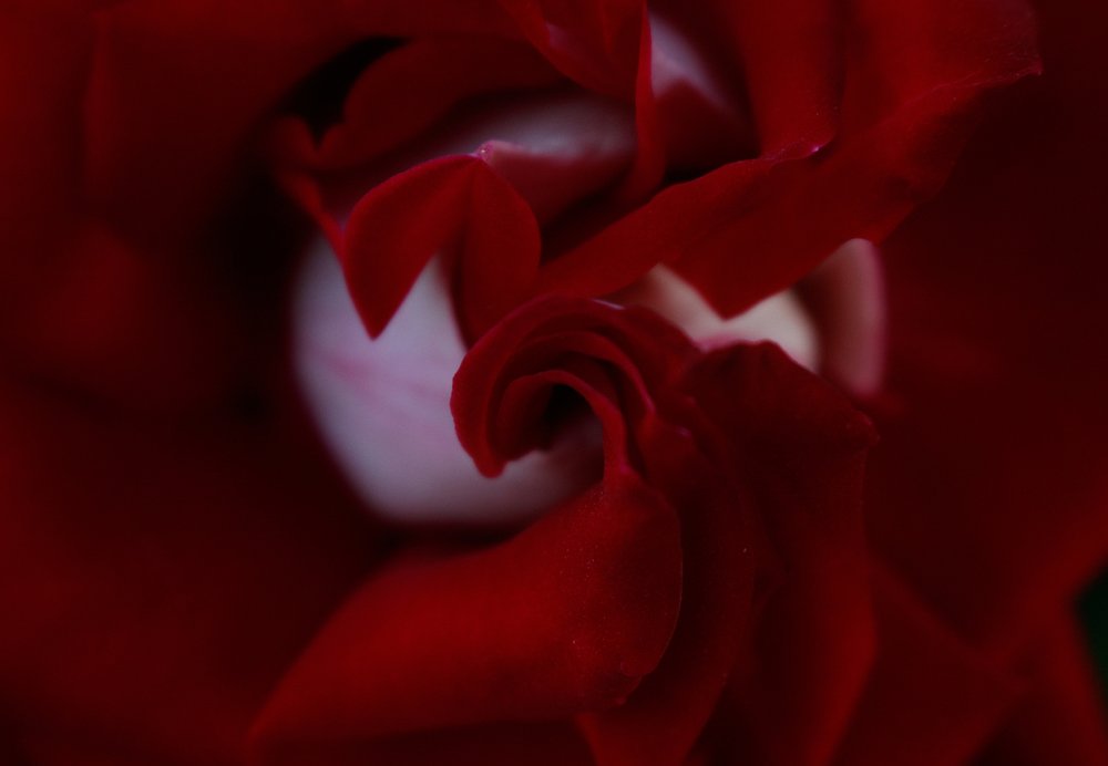 Photograph by Амалия