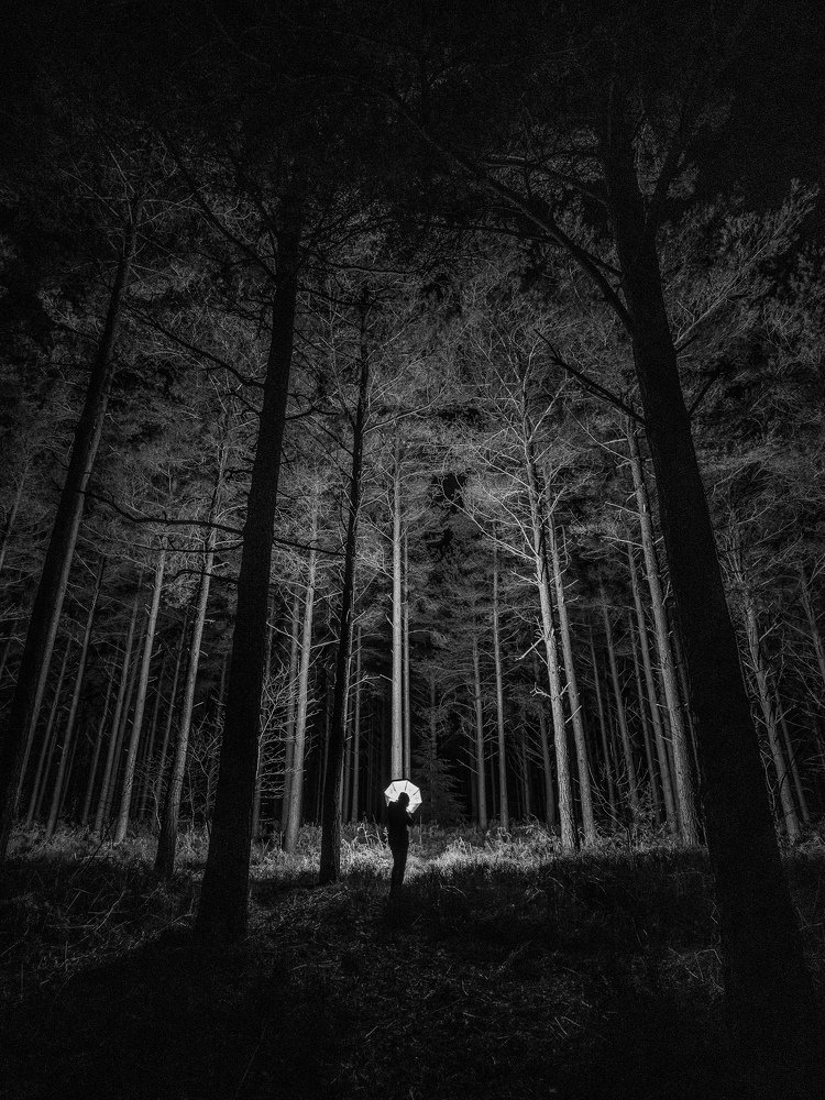 Photograph by Kowalski Tomasz